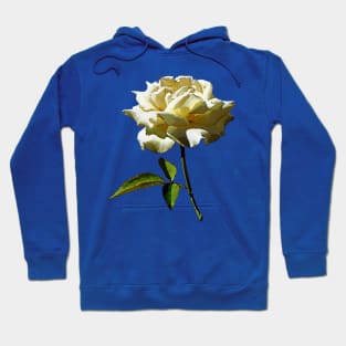 Roses - White Rose in Sunshine Hoodie